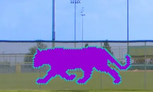 5' x 13' Strolling Cat