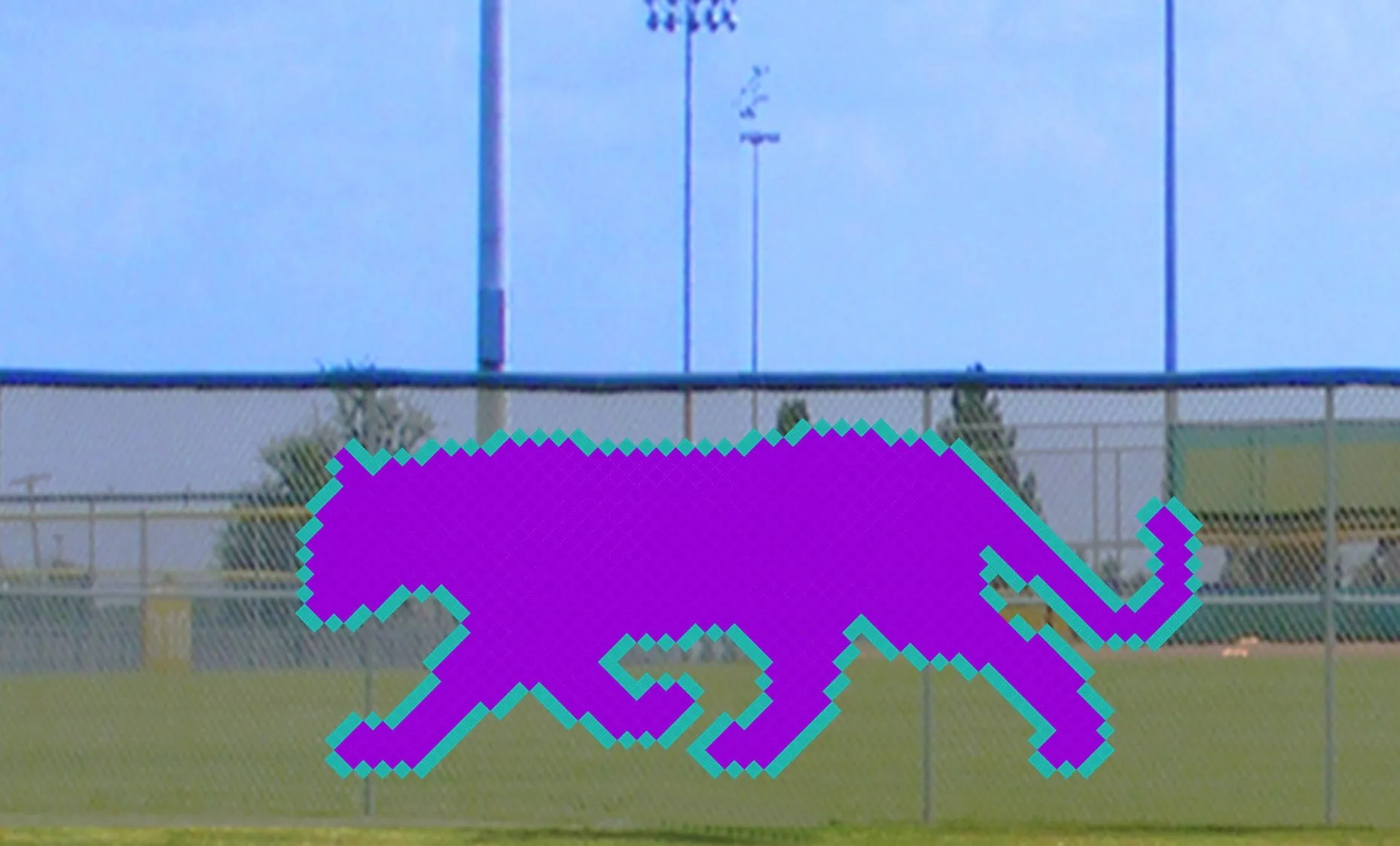 5' x 13' Strolling Cat
