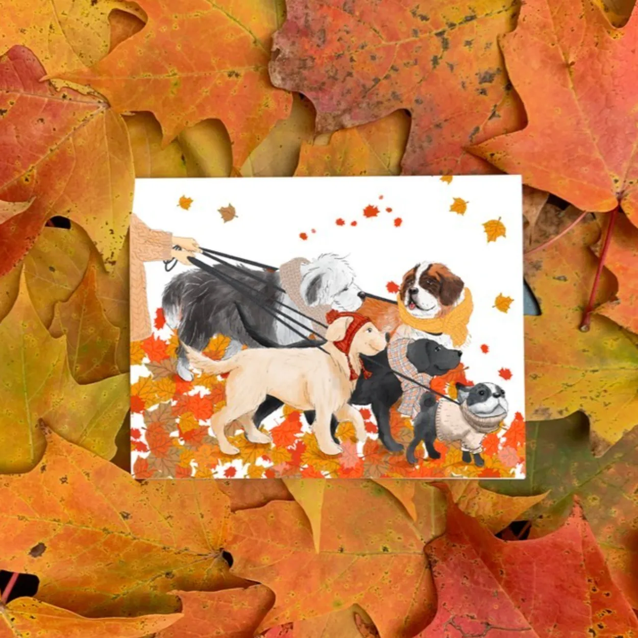 Fall Dog Walk Greeting Card